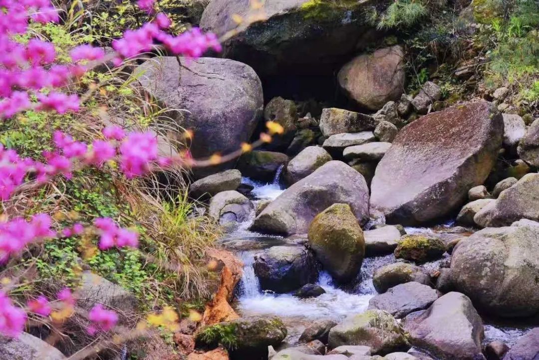 太阳城官网(中国集团)有限公司