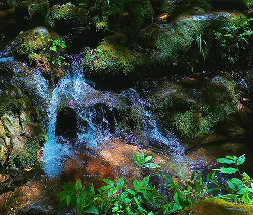 太阳城官网(中国集团)有限公司